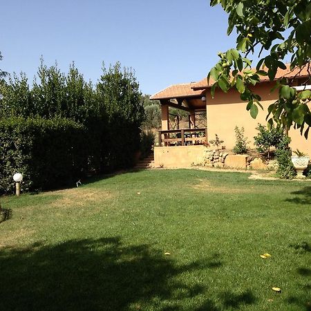 Agriturismo San Mauro Capalbio Bagian luar foto
